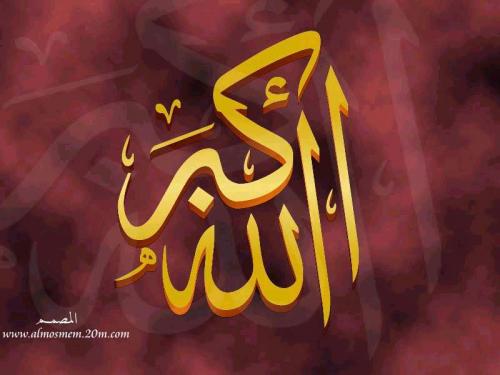   amir.darwissh